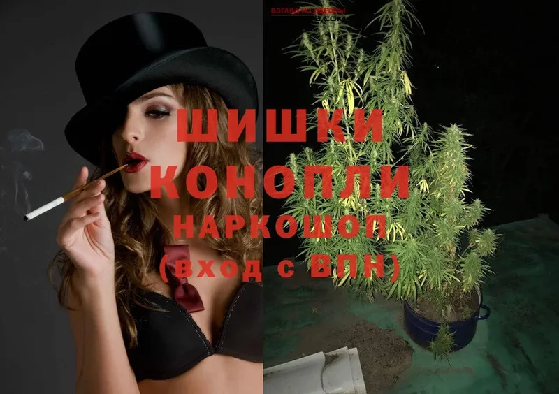 Бошки Шишки SATIVA & INDICA  Сертолово 